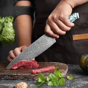 Damascus Knifes with Abalone Shell Handel